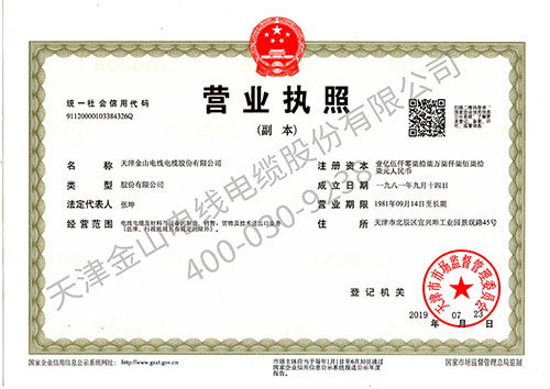 天津金山电线电缆股份有限...